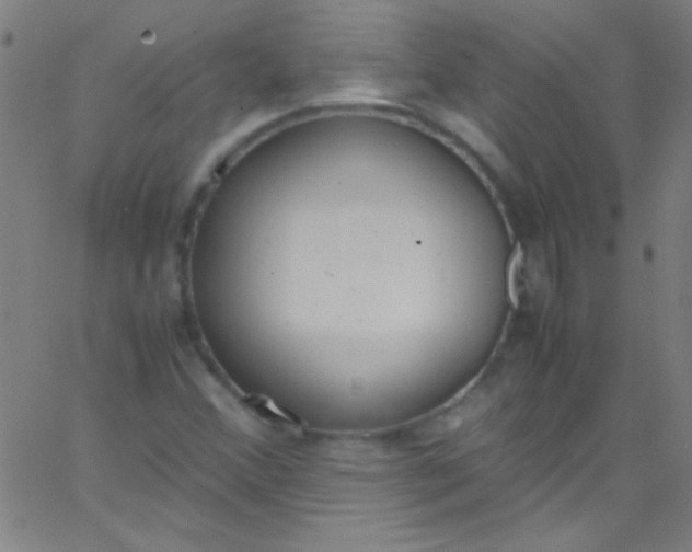 X0000067951356200604272049