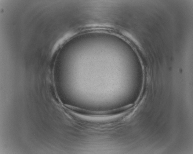 X0000067951357200604272049