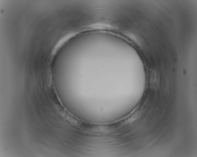 X0000067951358200604272049