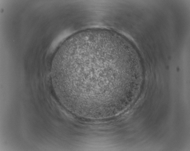 X0000067951359200604272049