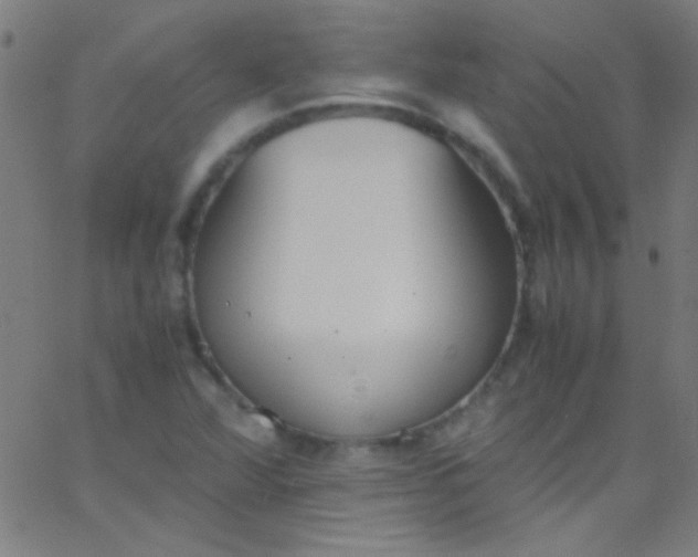 X0000067951360200604272049