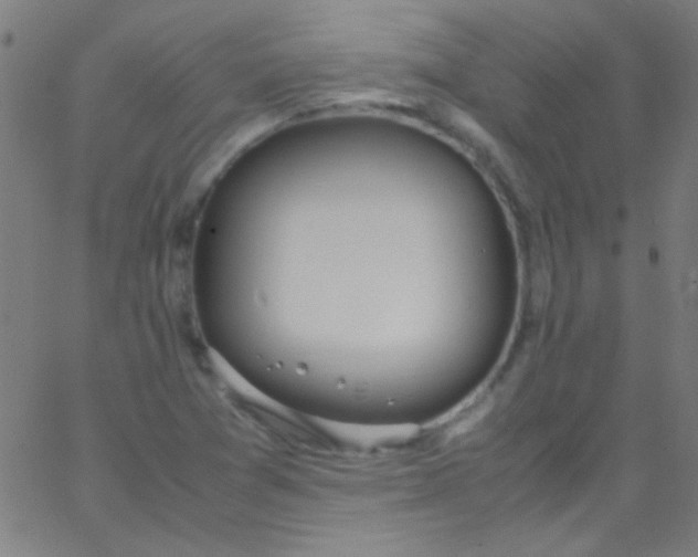 X0000067951361200604272049