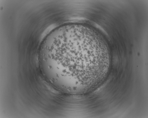 X0000067951362200604272049