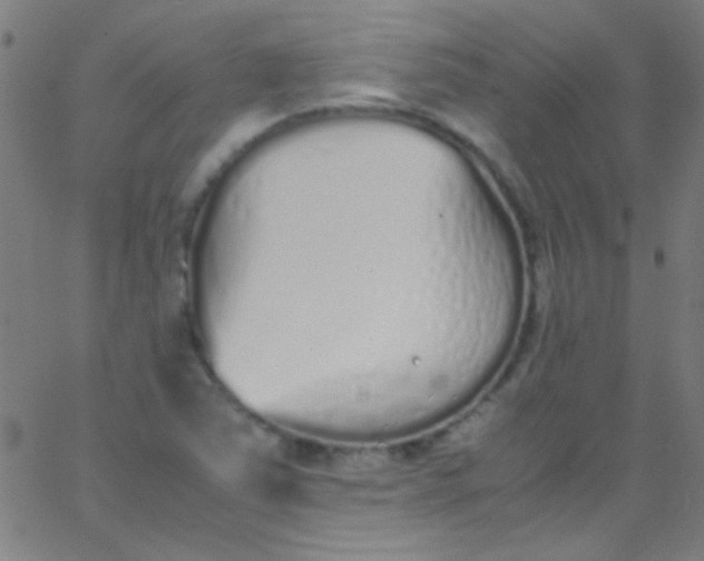 X0000067951363200604272049