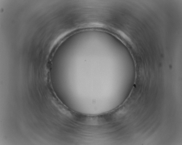 X0000067951364200604272049