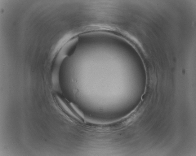 X0000067951365200604272049