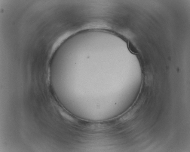 X0000067951366200604272049