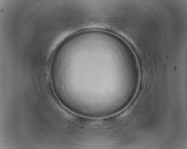 X0000067951367200604272049