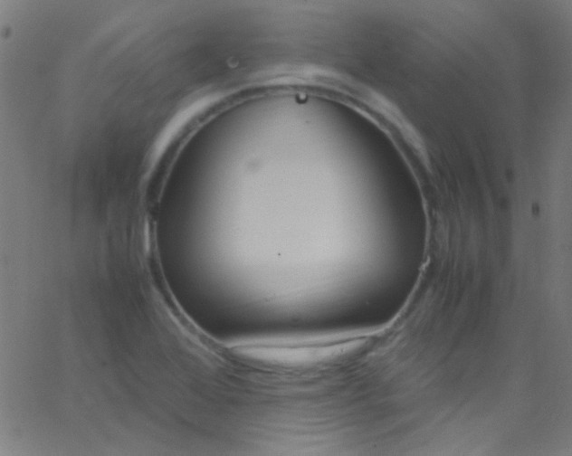 X0000067951368200604272048