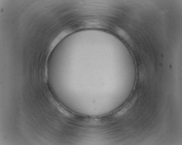 X0000067951370200604272048