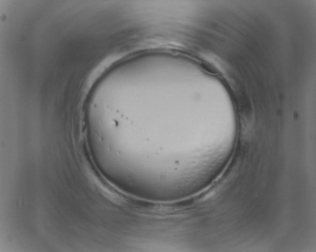 X0000067951371200604272048