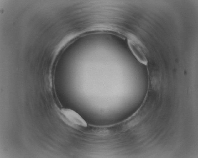 X0000067951372200604272048