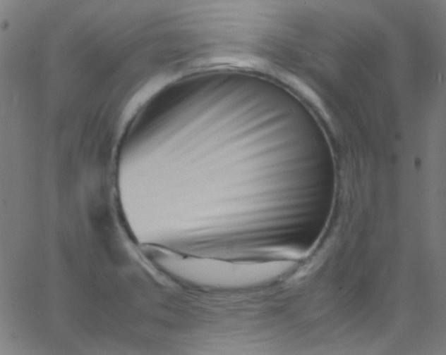 X0000067951373200604272048