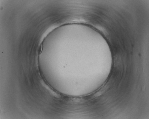 X0000067951374200604272048