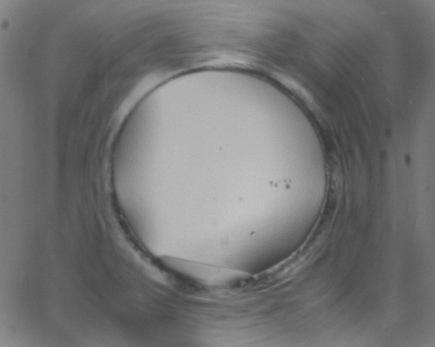 X0000067951375200604272048