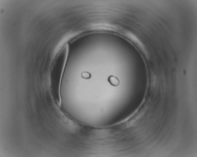 X0000067951376200604272048