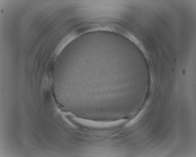 X0000067951377200604272048