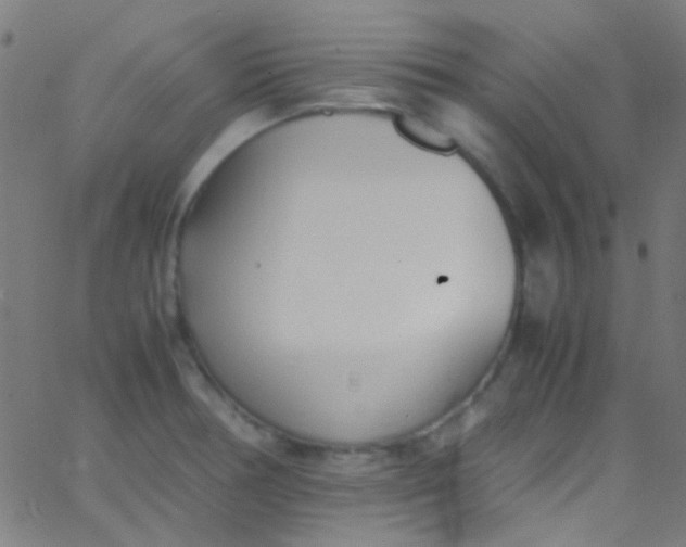 X0000067951378200604272048