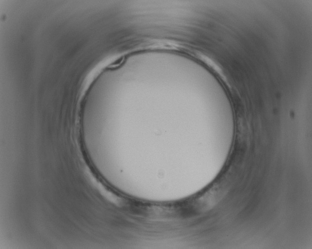 X0000067951379200604272048