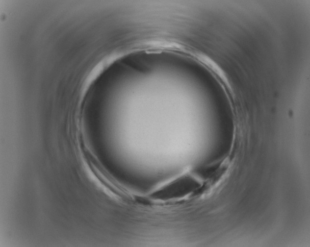 X0000067951381200604272048