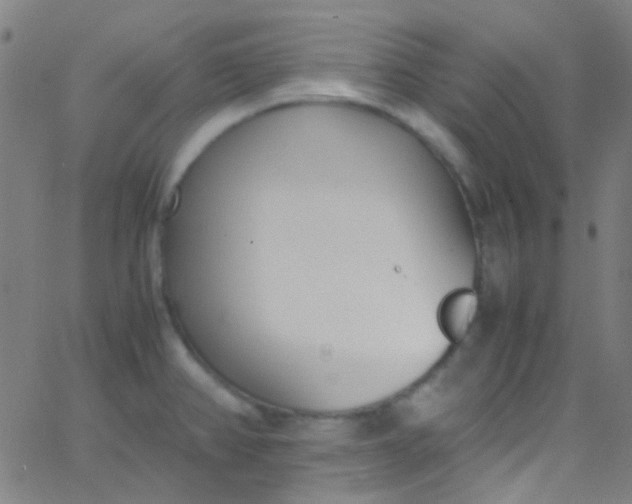 X0000067951382200604272048