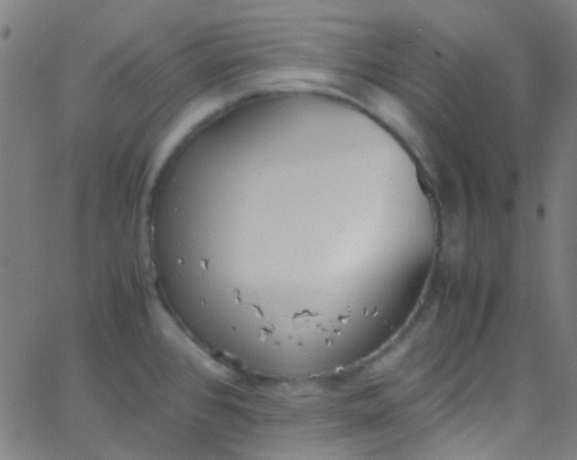 X0000067951384200604272048