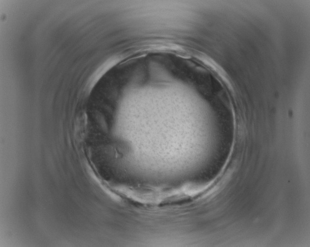 X0000067951385200604272048