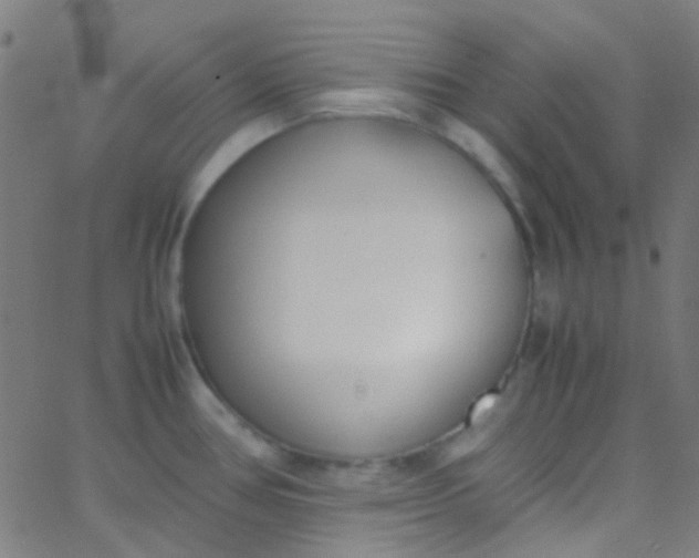 X0000067951386200604272048