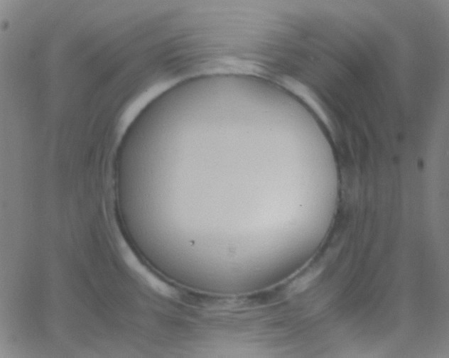 X0000067951387200604272048