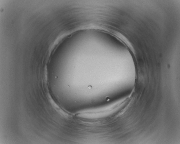 X0000067951388200604272048