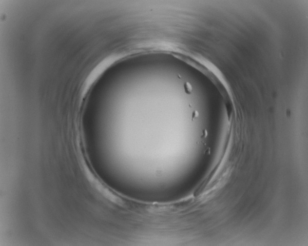 X0000067951389200604272048