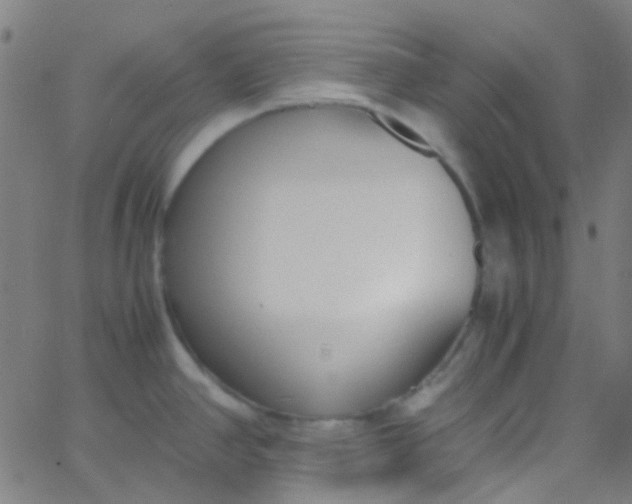 X0000067951390200604272048