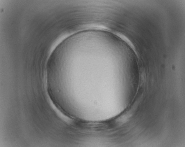 X0000067951391200604272048