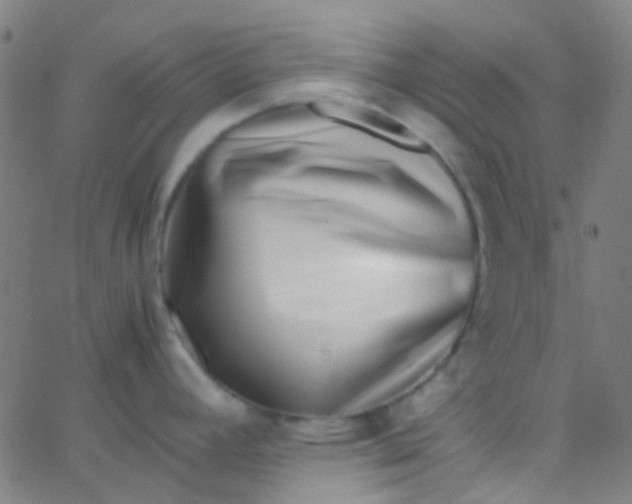 X0000067951392200604272048