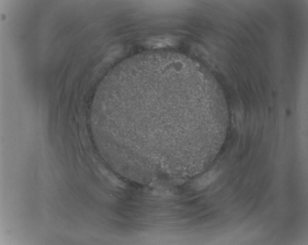 X0000067951393200604272047