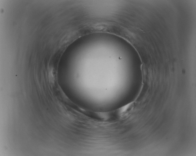 X0000067951394200604272047