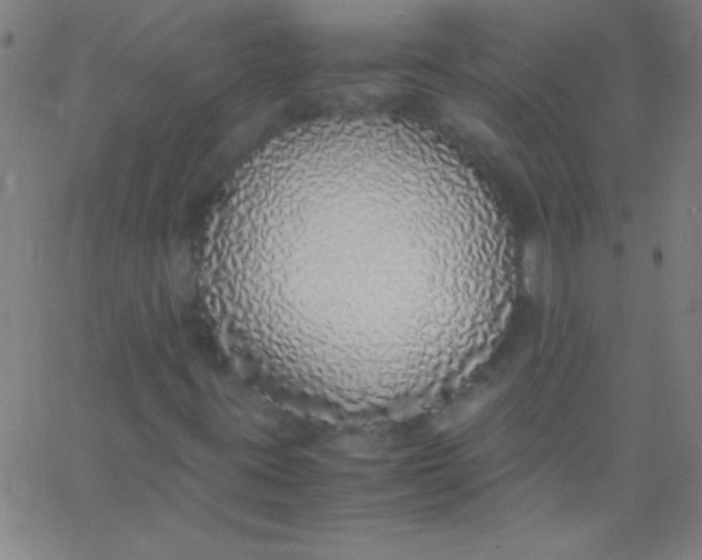 X0000067951395200604272047