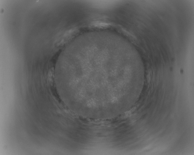 X0000067951397200604272047