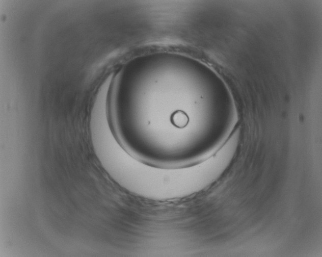 X0000067951398200604272047