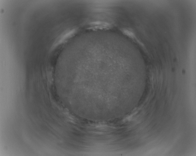 X0000067951399200604272047