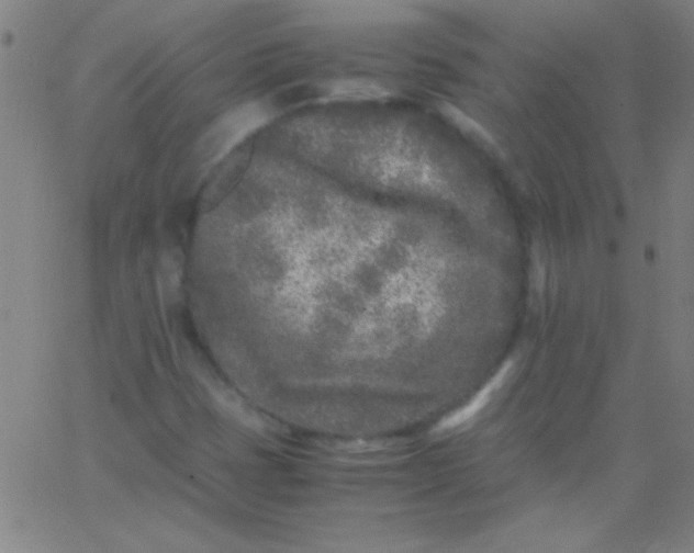 X0000067951401200604272047