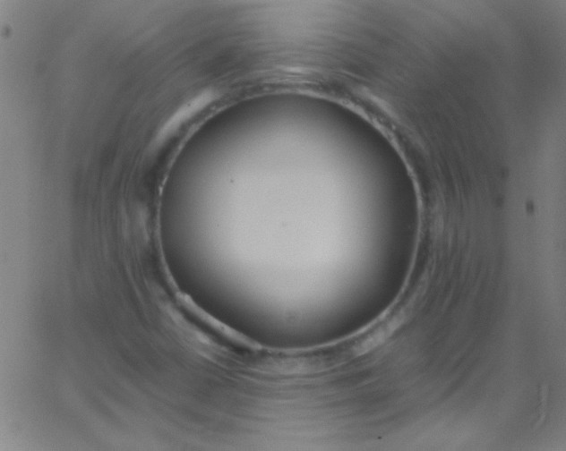 X0000067951402200604272047