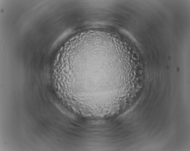 X0000067951403200604272047