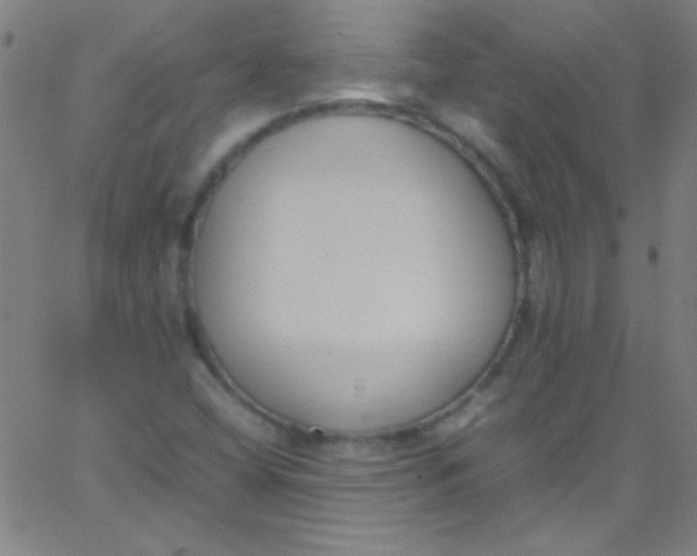 X0000067951404200604272048