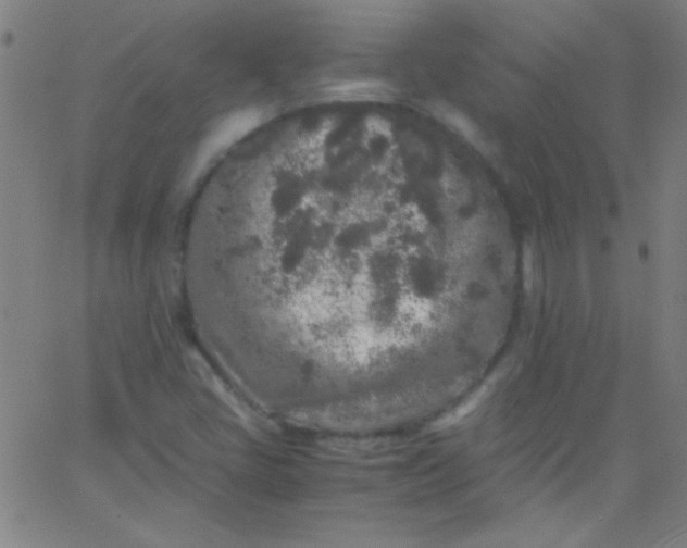 X0000067951405200604272048