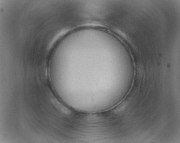 X0000067951408200604272048