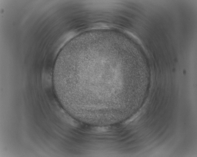 X0000067951409200604272048