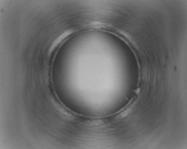 X0000067951410200604272048