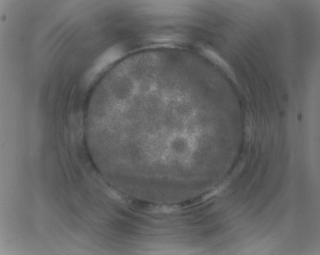 X0000067951411200604272048