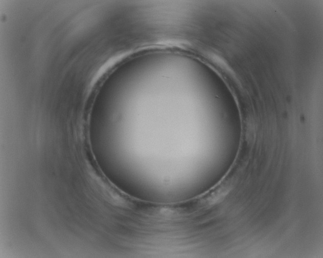 X0000067951412200604272048